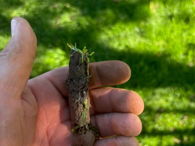 A soil plug pulled by core aeration, held in a hand over a green lawn