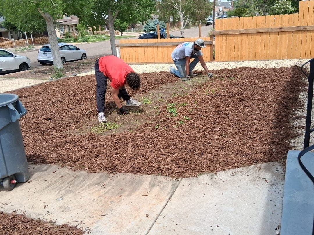 Two crew members spreading and tucking bark mulch into a front garden bed along a cedar fence
