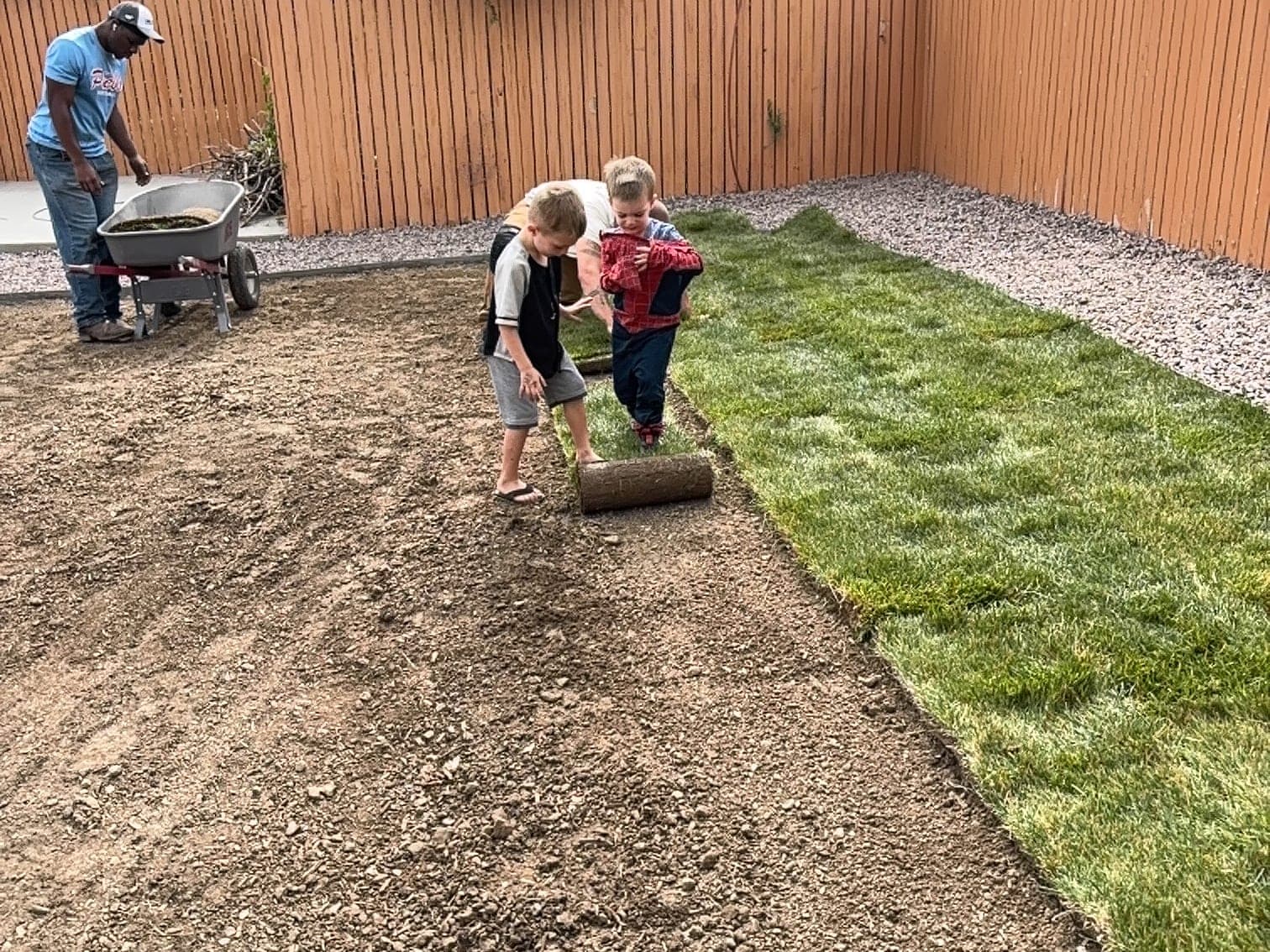 Two young kids rolling out a strip of new sod in a fenced Pueblo backyard while a crew member brings soil in a wheelbarrow