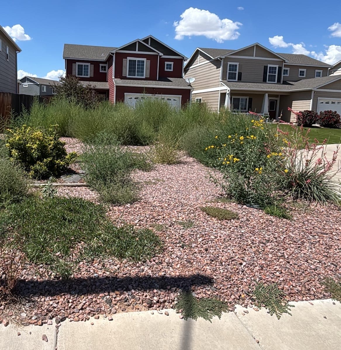 Before: a Pueblo front yard of red rock overgrown with weeds